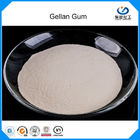 شفافية عالية عالية Acyl / Low Acyl Gellan Gum Powder لإنتاج المشروبات الغذاء الصف